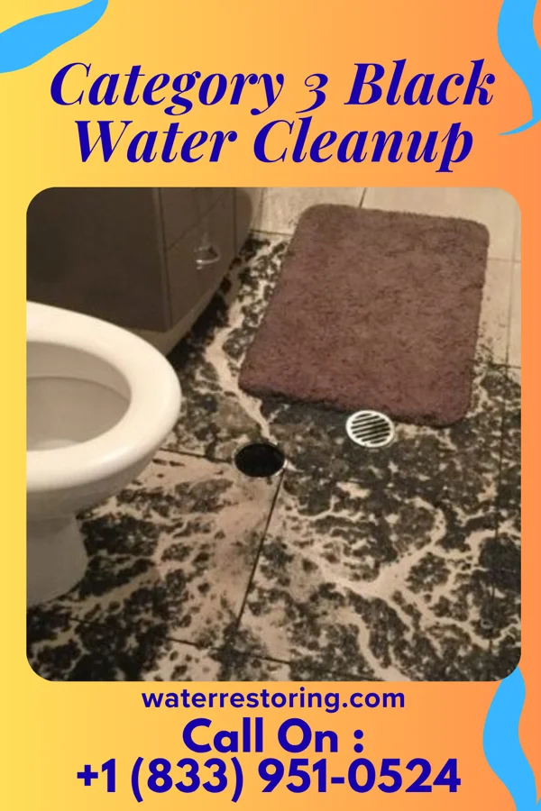 Category 3 Black Water Cleanup in Centerfield, UT