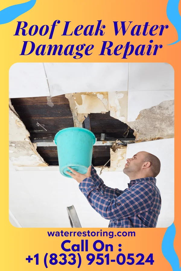 Roof Leak Water Damage Repair in Centerfield, UT